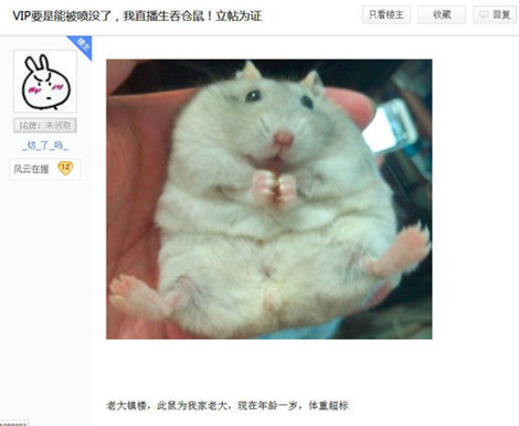 图2：迅游网游加速器——有玩家发布豪言壮语