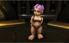 WOW再添丁 迅游网游加速器揭秘魔兽6.0新角色