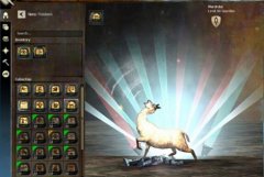 迅游网游加速器前瞻 激战2再推迷你宠物预览